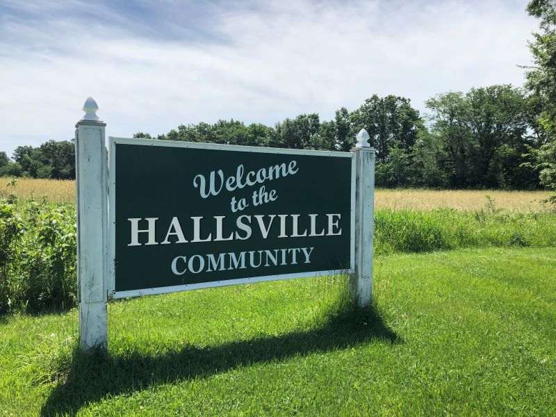 Hallsville, Mo pest control