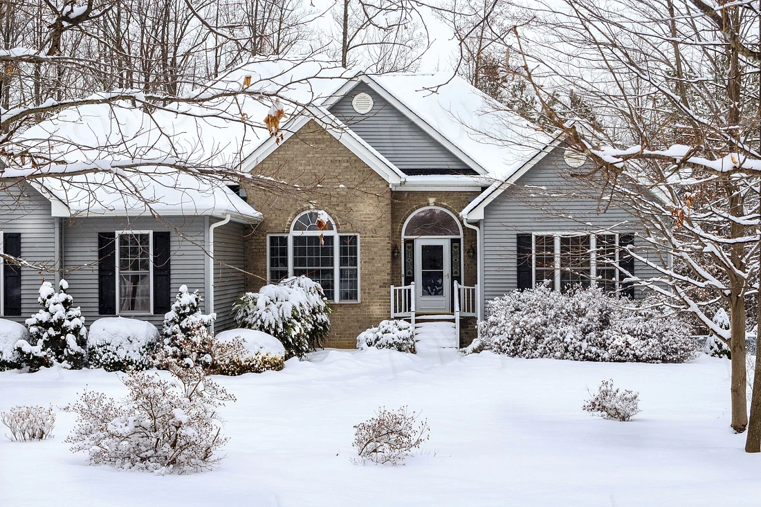 5 Reasons for Winter Pest Control